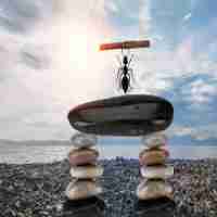 快‍速﻿PHP开‍发​工​具​